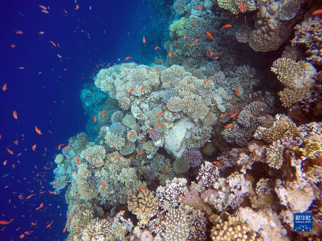 金沙银河湾房价